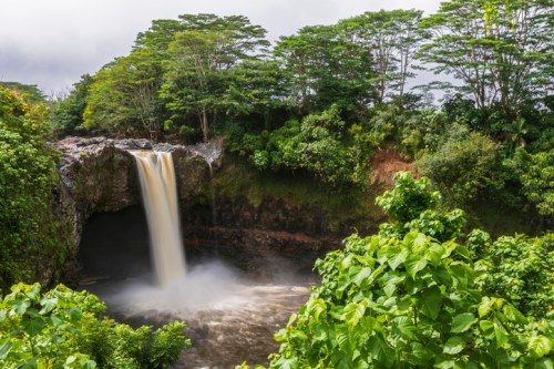 A serene waterfall cascades into a lush, green forest, surrounded by vibrant foliage and rocky cliffs.