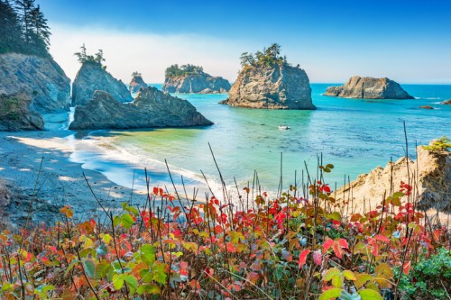 Scenic coastal view with rocky formations, clear blue water, and vibrant red foliage in the foreground.