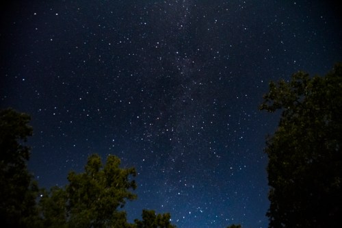 A starry night sky filled with countless stars, framed by silhouettes of trees at the bottom.