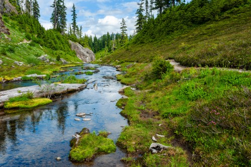 A serene river flows through a lush green landscape, surrounded by trees and rocky outcrops under a partly cloudy sky.