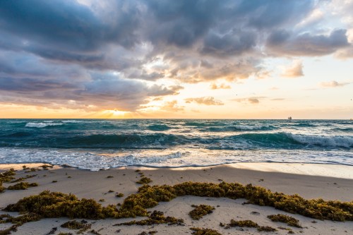 A serene beach scene at sunset, with waves gently lapping the shore and seaweed scattered on the sand.