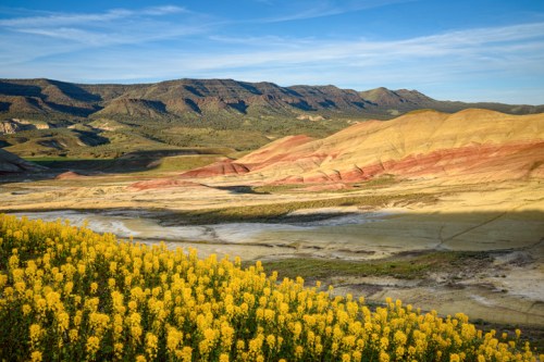 Vibrant landscape featuring colorful hills and a field of yellow flowers under a clear blue sky.