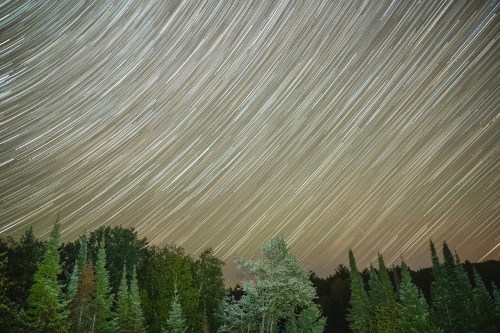 A long-exposure shot of star trails over a forest, with trees silhouetted against a light sky.