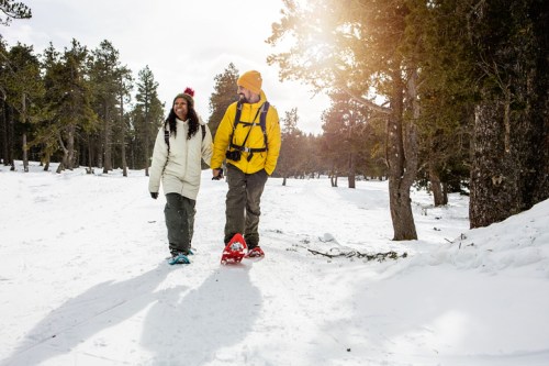 A couple walks hand in hand through a snowy forest, wearing winter gear and snowshoes, with sunlight peeking through trees.