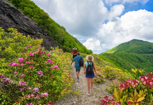A group of hikers walks along a scenic trail surrounded by colorful flowers and lush green mountains under a partly cloudy sky.