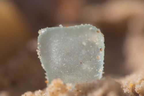 Close-up of a small, smooth piece of sea glass resting on sandy ground, with a soft focus background.