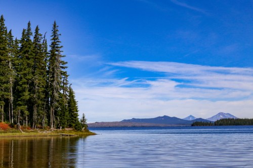 A serene lake surrounded by tall pine trees, with distant mountains under a clear blue sky.