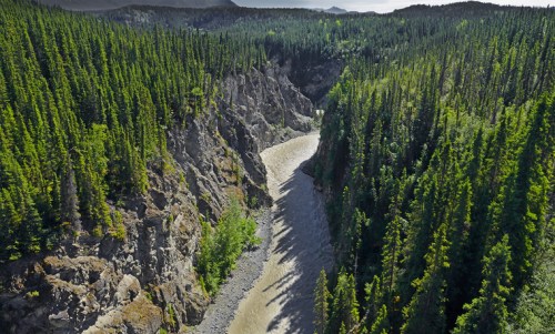 Aerial view of a winding river surrounded by dense green forests and rocky cliffs under a clear sky.