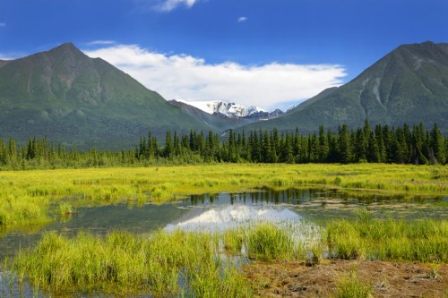 Lush green wetlands with a reflective pond, framed by mountains and a clear blue sky with scattered clouds.