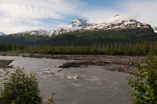 A scenic view of snow-capped mountains above a river, surrounded by lush green forests and scattered logs.