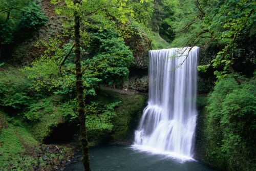 A serene waterfall cascades into a tranquil pool, surrounded by lush green trees and vibrant foliage.