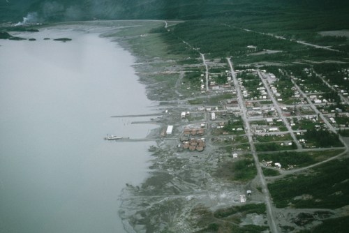 Aerial view of a small coastal town with buildings along the shore and a river, surrounded by lush greenery.