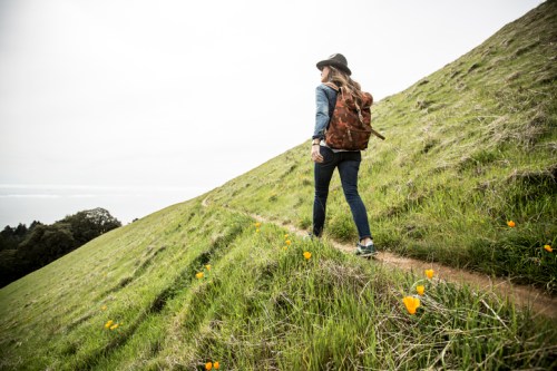 A person walks along a grassy hillside path, wearing a backpack and a hat, surrounded by wildflowers.