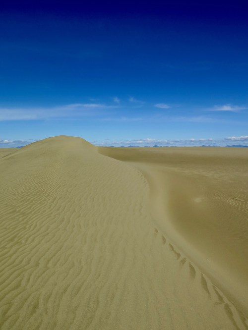 A vast desert landscape with gentle sand dunes under a clear blue sky.