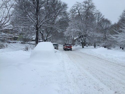 A snowy street lined with trees, featuring parked cars partially covered in snow and a vehicle driving through the snow.