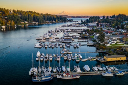 Aerial view of a marina filled with boats, surrounded by trees and mountains at sunset.