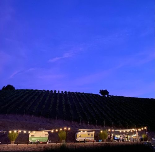 A serene vineyard at dusk, with glowing lights illuminating parked campers beneath a twilight sky.