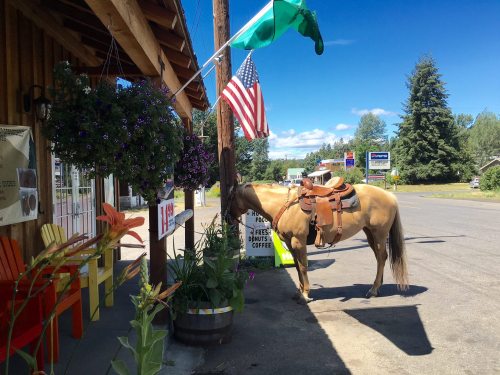 A horse with a saddle stands near a storefront, surrounded by flowers and flags, on a sunny day.