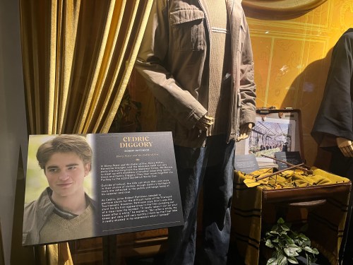 Display featuring a mannequin in casual clothing, with a sign about Cedric Diggory from Harry Potter.