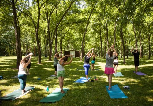 A group of people practicing yoga outdoors in a lush green park surrounded by trees.