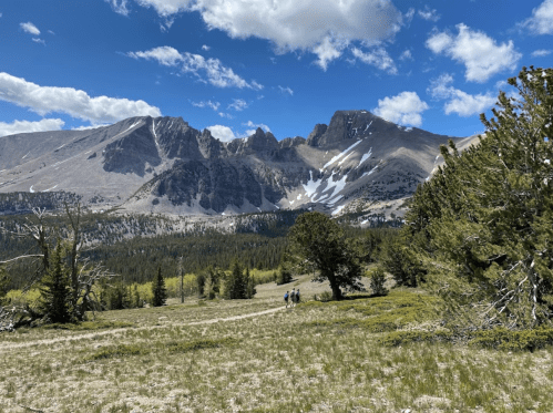 A scenic mountain landscape with hikers on a trail, surrounded by trees and snow-capped peaks under a blue sky.