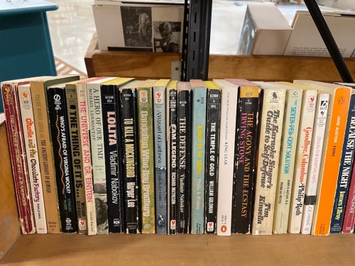 A wooden shelf displaying a variety of books with diverse titles and authors, arranged neatly in rows.