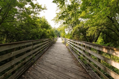A wooden bridge surrounded by lush green trees, leading into a bright, sunlit path.