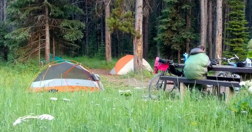 A campsite in a forest with two tents, a person sitting at a picnic table, and bicycles nearby among tall grass.