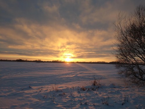 A serene winter landscape with a sunset over a snowy field, framed by a bare tree silhouette.