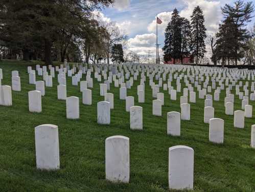 A serene cemetery with rows of white gravestones on green grass, under a cloudy sky and a distant American flag.