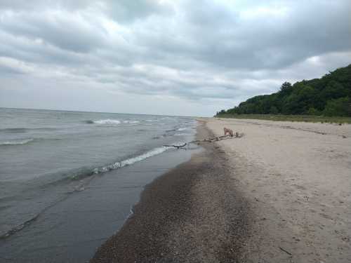 A serene beach scene with gentle waves, a sandy shore, and a cloudy sky, bordered by green trees in the background.