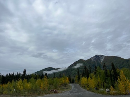 A winding gravel road leads through a forest of autumn-colored trees, with mountains and cloudy skies in the background.