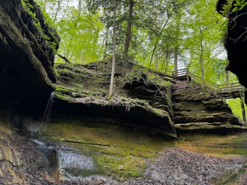 A lush green forest with rocky cliffs and a small waterfall, featuring a wooden walkway above.