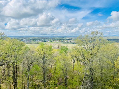 A scenic view of lush green trees and a distant landscape under a partly cloudy sky.