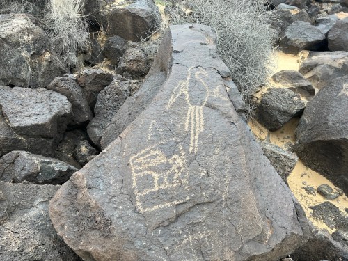 Petroglyphs carved into a rocky surface, depicting a bird and a geometric shape, surrounded by scattered rocks and dry vegetation.