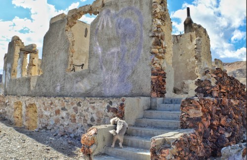 A dog explores the ruins of a weathered stone building under a cloudy sky.