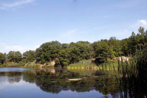 A serene lake surrounded by lush greenery and trees under a clear blue sky. Reflections shimmer on the water's surface.