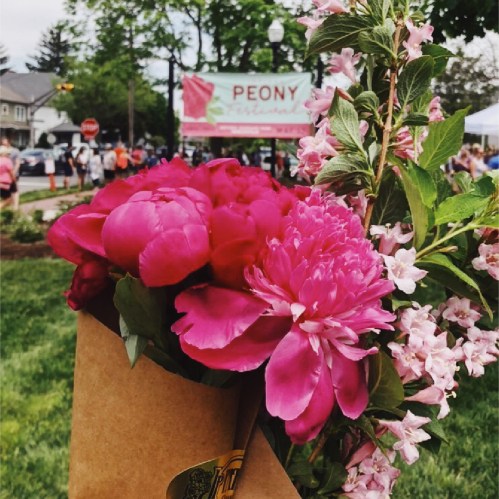 A bouquet of vibrant pink peonies in front of a Peony Festival sign, with people and greenery in the background.