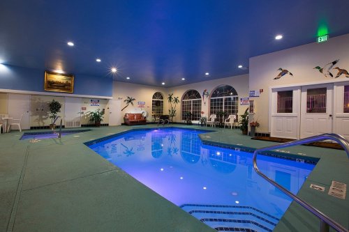 Indoor swimming pool area with blue lighting, plants, seating, and large windows.