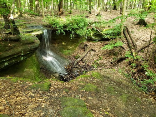 A serene forest scene featuring a small waterfall cascading into a rocky pool, surrounded by lush greenery and fallen leaves.