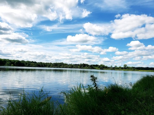 A serene lake surrounded by lush greenery under a bright blue sky with fluffy white clouds.