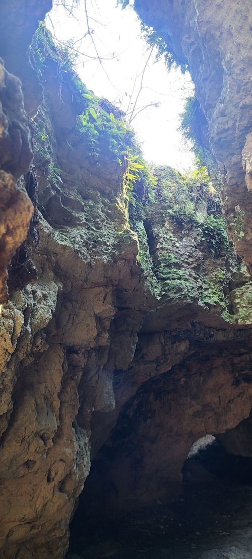 A rocky cave with a bright opening at the top, surrounded by green moss and plants.