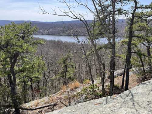 A scenic view of a lake surrounded by bare trees and pine trees, with rocky terrain in the foreground.