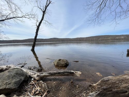 A tranquil lakeside scene with calm water, a tree, and rocks along the shore under a clear blue sky.