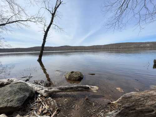 A tranquil lakeside scene with calm water, a tree, and rocks along the shore under a clear blue sky.