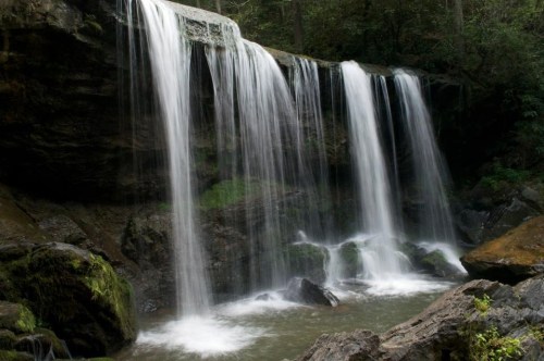 A serene waterfall cascading over rocks into a tranquil pool, surrounded by lush greenery.