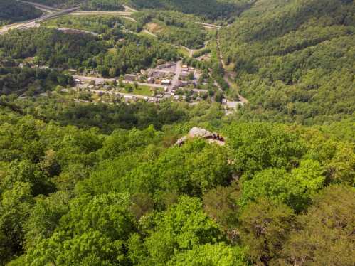 Aerial view of a lush green landscape with a small town nestled among trees and winding roads in the background.