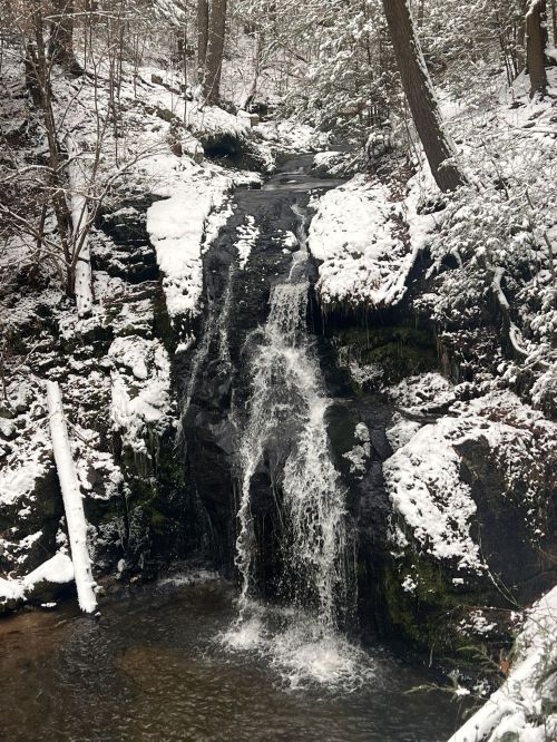 A snowy forest scene featuring a cascading waterfall flowing into a serene pool below.