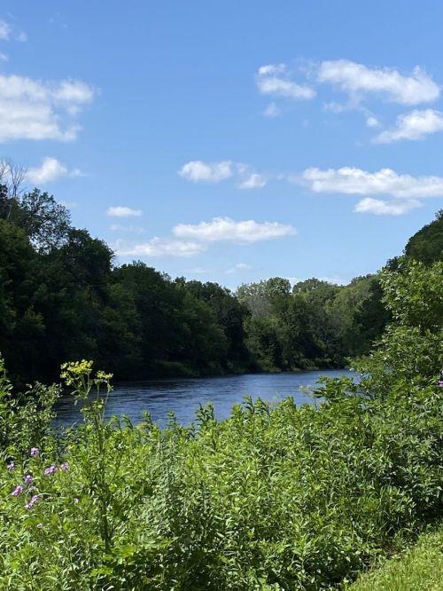 A serene river flows through lush greenery under a bright blue sky with fluffy clouds.
