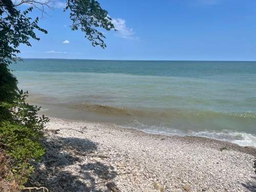 A serene lakeshore scene with gentle waves, pebbles, and greenery under a clear blue sky.